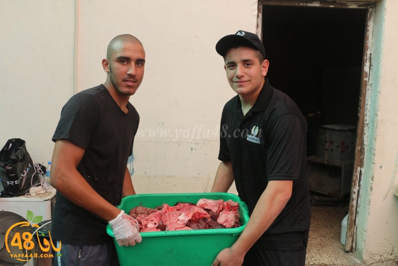 jam3i3yaysu3i (3).JPG